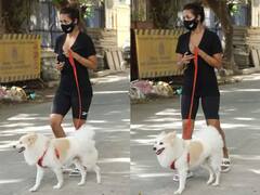 Video: Pet Casper को घुमाने निकली थीं Malaika Arora, रास्ते मे देखा छोटा बच्चा तो करने लगीं पैर में गुदगुदी