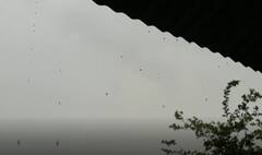 ગુજરાતના આ જિલ્લામાં ધરતીપુત્રોની વધી મુશ્કેલી, કમોસમી વરસાદથી જીવ થયા અદ્ધર