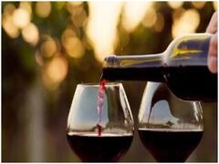 अल्कोहल का प्रजनन क्षमता पर कितना प्रभाव पड़ता है? इस तरह ड्रिंकिंग में लाएं बदलाव