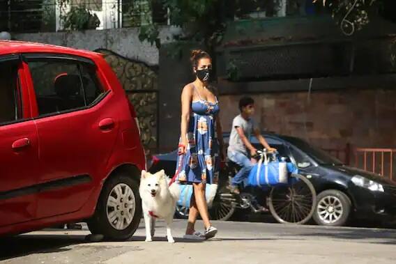 મલાઇકા આ દરમિયાન પોતાના કુતરા સાથે વૉક કરવા માટે ઘરેથી બહાર નીકળી હતી. (Photo Credit: Manav Manglani)