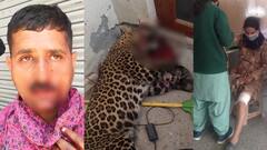 ਤੇਂਦੂਏ ਨੇ ਕੀਤਾ ਜਾਨਲੇਵਾ ਹਮਲਾ, ਲੋਕਾਂ ਨੇ ਮੌਤ ਦੇ ਘਾਟ ਉਤਾਰਿਆ, ਦੇਖੋ ਦਿਲ ਦਹਿਲਾਉਣ ਵਾਲੀਆਂ ਤਸਵੀਰਾਂ 