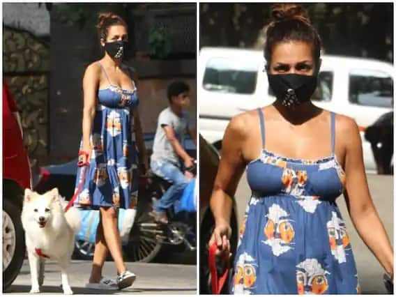 મુંબઇઃ બૉલીવુડ અભિનેત્રી મલાઇકા અરોડાને તાજેતરમાં જ મુંબઇમાં સ્પૉટ કરવામાં આવી હતી. આ દરમિયાન મલાઇકાની કેટલીક તસવીરો ક્લિક થઇ ગઇ છે, અમે તમને અહીં એક્ટ્રેસની સુંદર તસવીરો બતાવી રહ્યાં છીએ.... (Photo Credit: Manav Manglani)