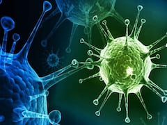 Corona ने रिश्तों को किया तार-तार, अंतिम संस्कार करने तक नहीं आ रहे हैं परिजन। CoronaVirus