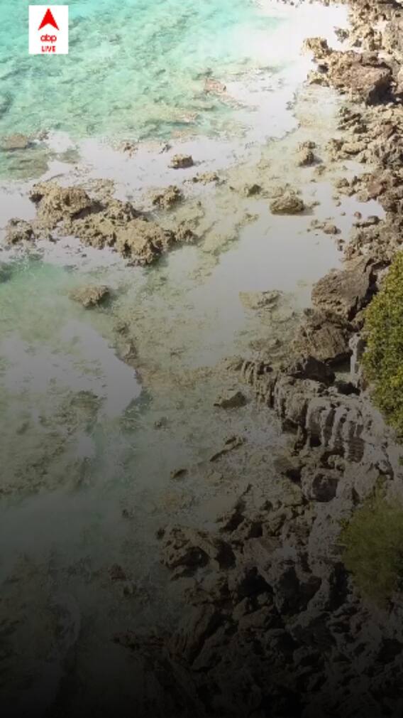 Things To Do In Bahamas