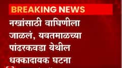 नखांसाठी वाघिणीला जाळलं, यवतमाळमधील धक्कादायक घटना