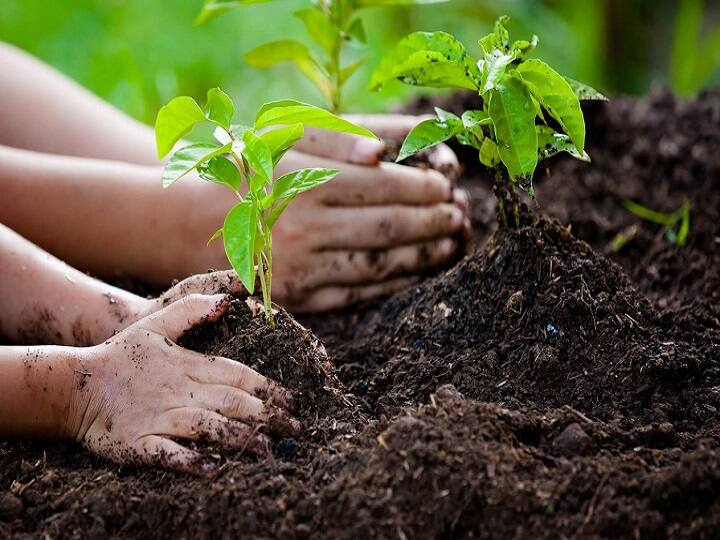Plant Trees And Give It Back To Nature Says Nagpur Hospital ஆக்சிஜனை திருப்பி கொடுங்க - நோயாளிகளுக்கு அன்பு கட்டளையிடும் மருத்துவமனை