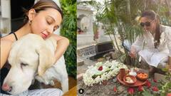 Mimi on Pet Dog: চিকুর পছন্দের খাবার, ফুল নিয়ে কবরস্থানে গেলেন মিমি