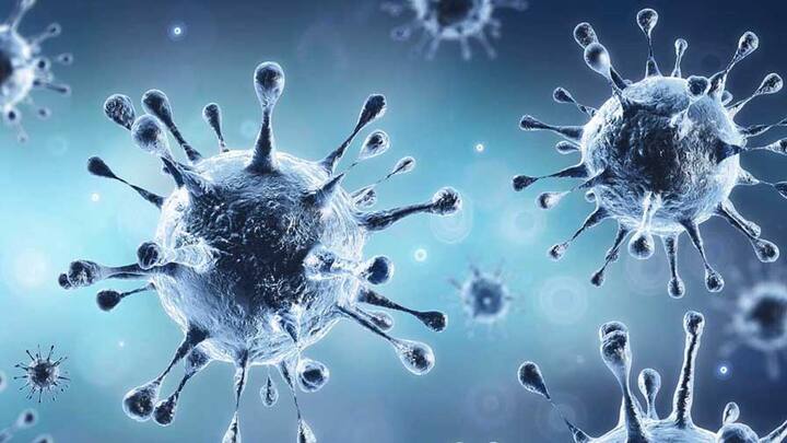 India news N440K coronavirus variant highly infectious is ten times more infectious
