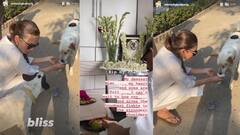 Mimi on Pet Dog: চিকুর পছন্দের খাবার, ফুল নিয়ে কবরস্থানে গেলেন মিমি