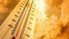 Weather Update: দক্ষিণবঙ্গের ৫ জেলায় তাপপ্রবাহের সম্ভাবনা