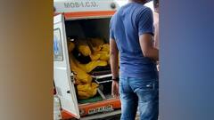 Shocking visuals: 22 Covid bodies filled in one ambulance in Maharashtra's Beed