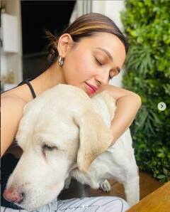 Mimi on Pet Dog: চিকুর পছন্দের খাবার, ফুল নিয়ে কবরস্থানে গেলেন মিমি