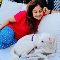 Ayesha Jhulka: करियर के पीक पर आकर छोड़ा था बॉलीवुड, आज करोड़ों की मालकिन है ये एक्ट्रेस