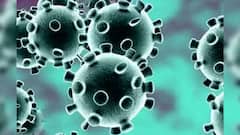 Corona : कोरोनाच्या नव्या स्ट्रेनचा उगम अमरावतीतून नव्हे तर राजस्थानातून, तज्ञांची माहिती