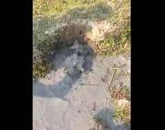 ਭੂਚਾਲ ਨਾਲ ਕੰਬੀ ਧਰਤੀ, ਅਚਾਨਕ ਜ਼ਮੀਨ 'ਚੋਂ ਫੁੱਟੇ ਪਾਣੀ ਦੇ ਫੁਆਰੇ! ਸਿਹਤ ਮੰਤਰੀ ਸ਼ੇਅਰ ਕੀਤਾ ਹੈਰਾਨ ਕਰ ਦੇਣ ਵਾਲਾ ਵੀਡੀਓ