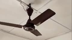 પૂર્વોત્તર ભારતમાં ધ્રુજી ધરા, કેટલી તીવ્રતાનો આવ્યો ભૂકંપનો આંચકો?,જુઓ વીડિયો