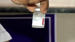 Bharat Biotech Covaxin : भारत बायोटेकची महाराष्ट्राला सहा महिन्यात 85 लाख डोस देण्याची तयारी!