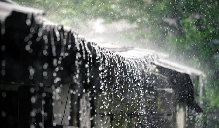 Unseasonal rainfall in Dhari રાજ્યના આ જિલ્લામાં કરા સાથે વરસાદ, કેરીના પાકને નુકસાન પહોંચે તેવી શક્યતા