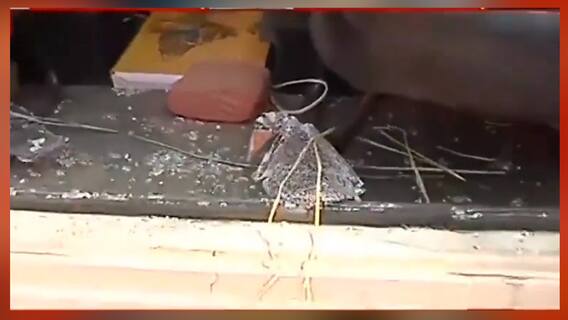 West Bengal Election 2021: নানুরে BJP প্রার্থীর উপর 'হামলা', গাড়ি 'ভাঙচুরে' অভিযুক্ত TMC