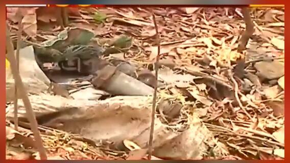 West Bengal Election 2021: খয়রাশোলে বুথের কাছেই বস্তা ভর্তি বোমা উদ্ধার, এলাকায় আতঙ্ক