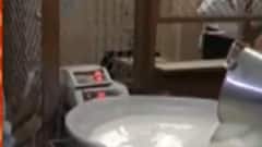 Surat: સહકારી દૂધ સંઘોને ત્વરિત ઓક્સિજન પ્લાન્ટ શરુ કરવા સરકારનો આદેશ, જુઓ વીડિયો