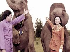 हाथी मेरे साथी: फिल्म की फीस से ही Rajesh Khanna ने खरीदा था कार्टर रोड पर पहला बंगला, इस वजह से साइन की थी फिल्म