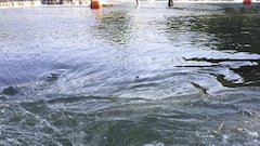 દાહોદના સિંગવડ તાલુકાની હડપ નદીમાં બે બાળકો ડૂબ્યા, પોલીસ તપાસ શરૂ