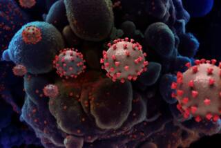 કોરોના મટી જાય પછી ખાસ લેજો આ કાળજી નહીંતર હાર્ટ એટેક-પેરેલિસિસનો બની જશો ભોગ, જાણો વિગત