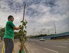 Maharashtra Green Cover: मुंबईला 6 वर्षांत 1 लाख टन ऑक्सिजन मोफत पुरवण्यात मोलाचा हातभार लावणारी 'ही' माणसं माहितीयेत?