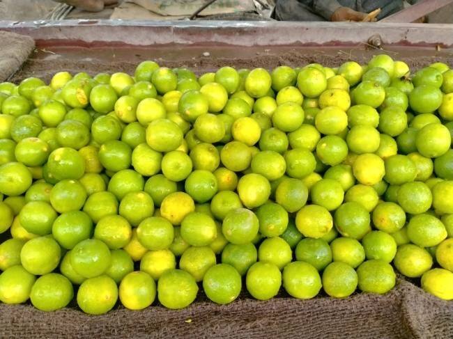 lemon is beneficial in infection, to know how its profitable for health Health Tips:લીંબુ કઇ રીતે ઇન્ફેકેશન સામે છે ગણકારી, વજન ઉતારવાની સાથે ક્યાં છે અદભૂત ફાયદા