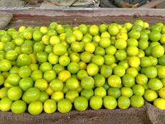 Health Tips:લીંબુ કઇ રીતે ઇન્ફેકેશન સામે છે ગણકારી, વજન ઉતારવાની સાથે ક્યાં છે અદભૂત ફાયદા