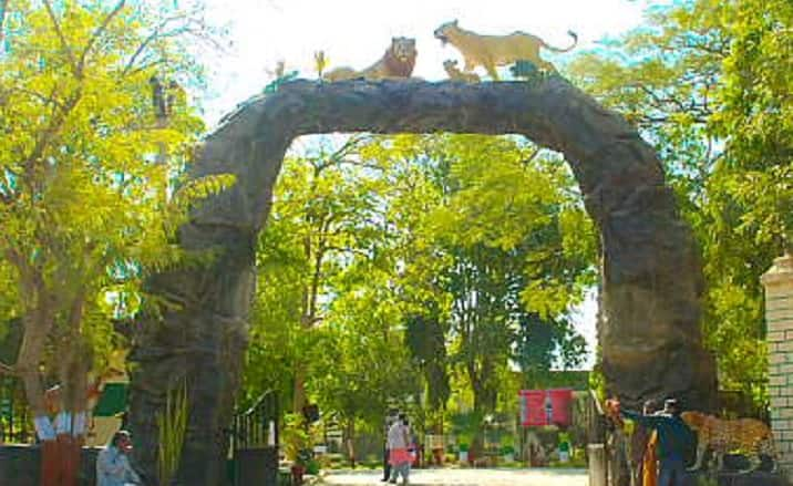 Gujarat Corona update : Devaliya park and Sasan gir Safari park closed for tourist due to spike corona cases કોરોના સંક્રમણને પગલે ગુજરાતનું કયું જાણીતું પ્રવાસન સ્થળ અનિશ્ચિત સમય માટે કરી દેવાયું બંધ?