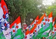 WB Election Results 2021 Live: ২০২টি আসনে এগিয়ে TMC, বিজয়ীর নাম ঘোষণা হতেই শুরু উল্লাস