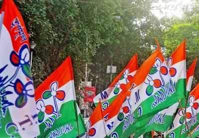 WB Election Results 2021 Live: ২০২টি আসনে এগিয়ে TMC, বিজয়ীর নাম ঘোষণা হতেই শুরু উল্লাস