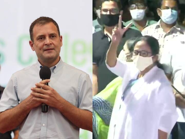 Rahul Gandhi congratulate Mamata Banerjee and West Bengal Election Results 2021: बंगाल में ममता बनर्जी की पार्टी टीएमसी की बड़ी जीत पर क्या बोले राहुल गांधी?