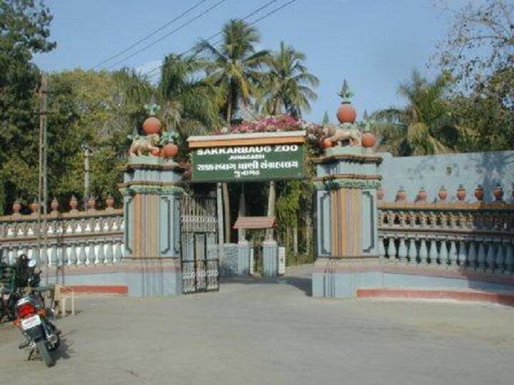 Junagarh Sakkar baug zoo and safari park closed due to spike corona cases in Saurashtra કોરોના સંક્રમણને પગલે સૌરાષ્ટ્રના કયા જાણીતા પ્રવાસન સ્થળો અચોક્કસ મુદ્દત માટે કરી દેવાયા બંધ?
