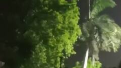 વડોદરાના પાદરા પંથકમાં પવન સાથે વરસાદ, ખેડૂતોમાં પાકના નુકસાનની ભીતિ