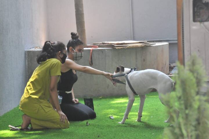 हाल ही रवीना टंडन और मलाइका अरोड़ा भी अपने डॉग के साथ क्लिनिक पहुंचीं थीं.