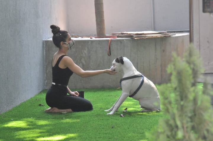 इन दिनों कई सितारे अपने पेट के साथ क्लिनिक पहुंच रहे हैं.