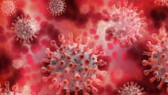 Coronavirus Cases: গত ২৪-ঘণ্টায় দেশে সামান্য কমেছে দৈনিক সংক্রমণ ও মৃত্যু