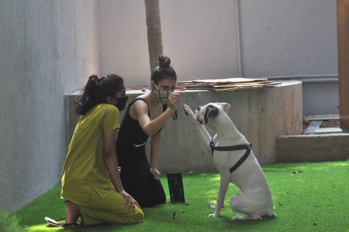 ये पता तो नहीं चल पाया कि उनके डॉग को क्या परेशानी है लेकिन इतना जरुर है कि वो इस दौरान थोड़ा मायूस दिखा.
