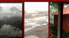 Uncertain Rainfall in Maharashtra : राज्यातील अनेक जिल्ह्यांमध्ये अवकाळी पावसाचं थैमान