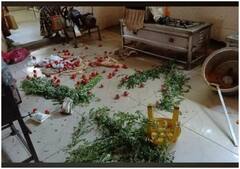 कैंटीन से ‘अम्मा’ की तस्वीर वाले बोर्ड को DMK कार्यकर्ताओं ने हटाया, पार्टी से हुए निष्कासित