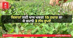 News For Farmers: ਕਿਸਾਨਾਂ ਲਈ ਖਾਸ ਖਬਰ! 15 ਹਜ਼ਾਰ ਲਾ ਕੇ ਕਮਾਓ 3 ਲੱਖ ਰੁਪਏ