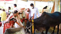 वऱ्हाडी दोनशे गाई, जेवणाला पुरणपोळी.. लातुरात अनोखा विवाह सोहळा