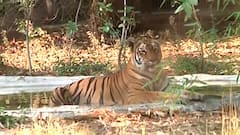 TOP 50 : महत्त्वाच्या 50 बातम्यांचा वेगवान आढावा : दिवसभरातील बातम्यांचा आढावा 4 मे 2021