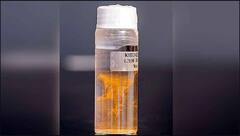 ਵਿਗਿਆਨੀਆਂ ਨੂੰ ਮਿਲਿਆ 160 ਸਾਲ ਪੁਰਾਣਾ ਪਾਣੀ, ਇਸ ਤਰ੍ਹਾਂ ਦਾ ਹੈ ਸਵਾਦ 