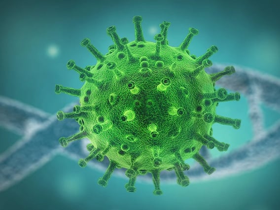 કેનેડાથી પિતાને મળવા આવેલી 24 વર્ષની યુવતી કોરોના થઈ જતાં મોતને ભેટી, મૃતદેહ પાસેથી શાની થઈ ચોરી તે જાણીને લાગી જશે આઘાત કેનેડાથી પિતાને મળવા આવેલી 24 વર્ષની યુવતી કોરોના થઈ જતાં મોતને ભેટી, મૃતદેહ પાસેથી શાની થઈ ચોરી તે જાણીને લાગી જશે આઘાત