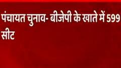 Panchayat Election: पंचायत चुनावों में सपा का दबदबा, अभी तक 791 सीटों पर जीत हासिल