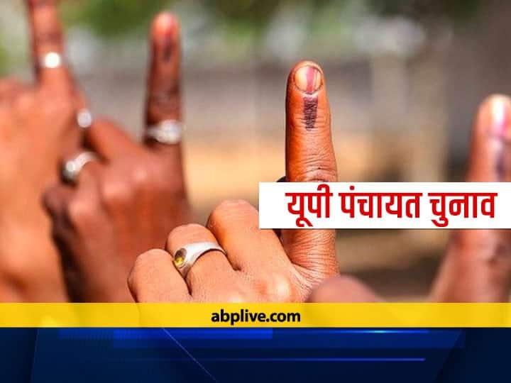 Amroha Zila Panchayat Adhyaksh Chunav 2021 Vote Counting Results BJP SP Panchayat Election News Amroha Zila Panchayat Adhyaksh Chunav 2021: BJP के ललित तंवर अमरोहा सीट से निर्विरोध जीते
